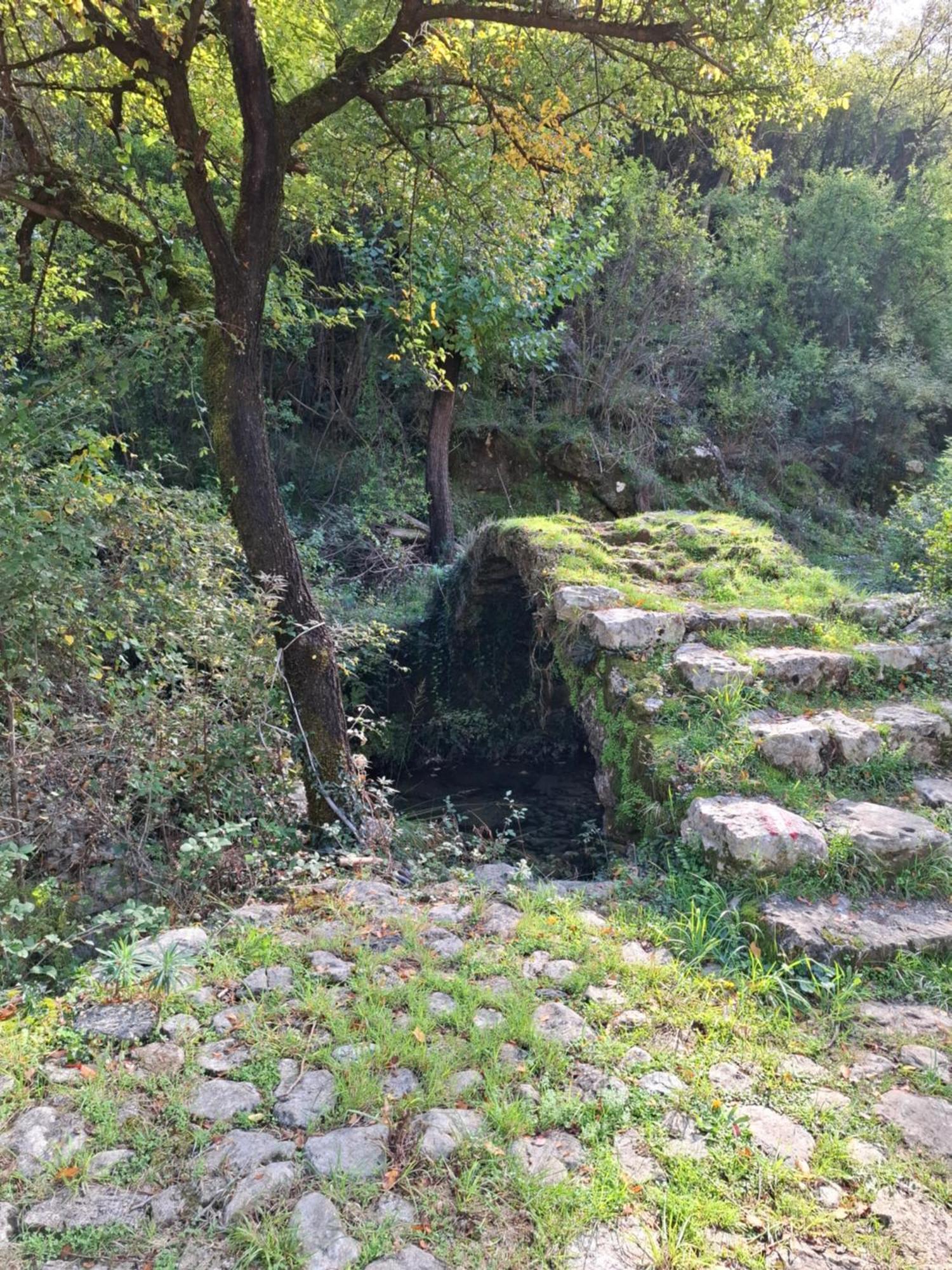 Apartment Dapcevic Skadar Lake Vranjina 外观 照片